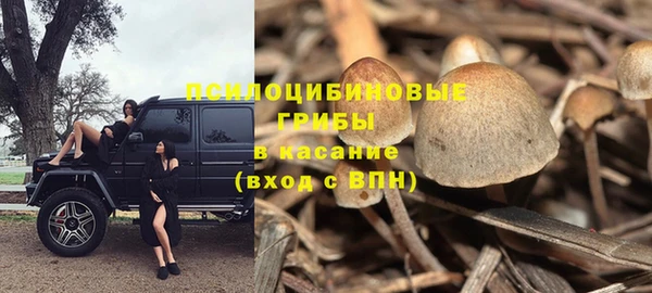 не бодяженный Алексин