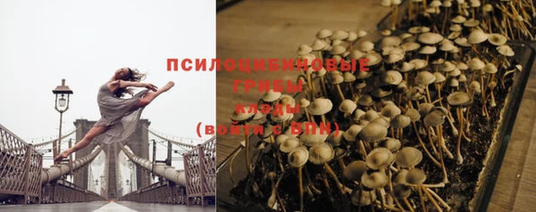 не бодяженный Алексин