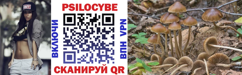 Галлюциногенные грибы ЛСД  цены наркотик  Ак-Довурак 